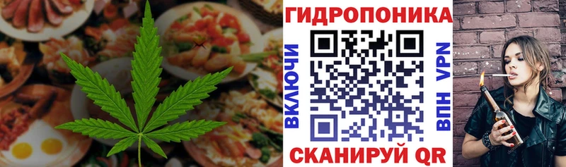 Canna-Cookies конопля  Черноголовка 
