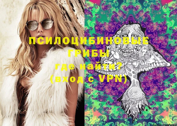крисы Вяземский