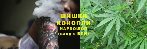 крисы Вяземский