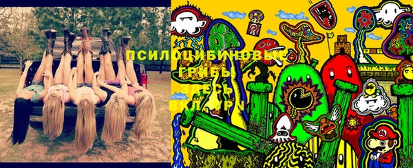 ГАЛЛЮЦИНОГЕННЫЕ ГРИБЫ Вязники