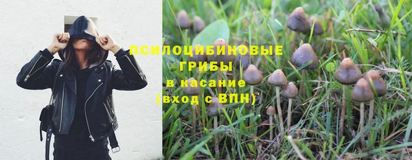 крисы Вяземский