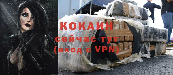 ГАЛЛЮЦИНОГЕННЫЕ ГРИБЫ Вязники