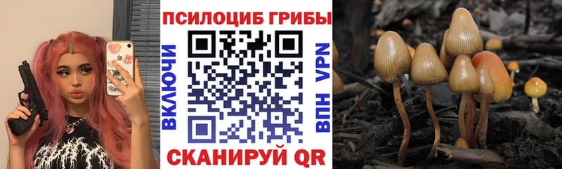 ссылка на мегу ССЫЛКА  даркнет телеграм  Галлюциногенные грибы ЛСД  Черноголовка 